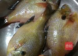 紫苏蒸太阳鱼的做法图解1