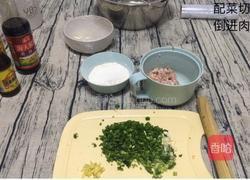 香葱猪肉水饺/锅贴的做法图解7