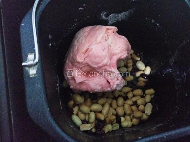 放入整颗花生和蔓越莓干  花生没有碾碎 之前做的是碎的 结果成品里感觉不干净 这样整颗的 做完切开也好看 