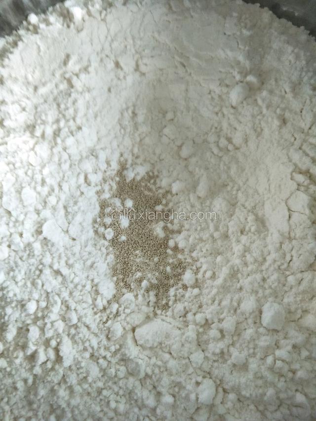 面粉中加适量酵母