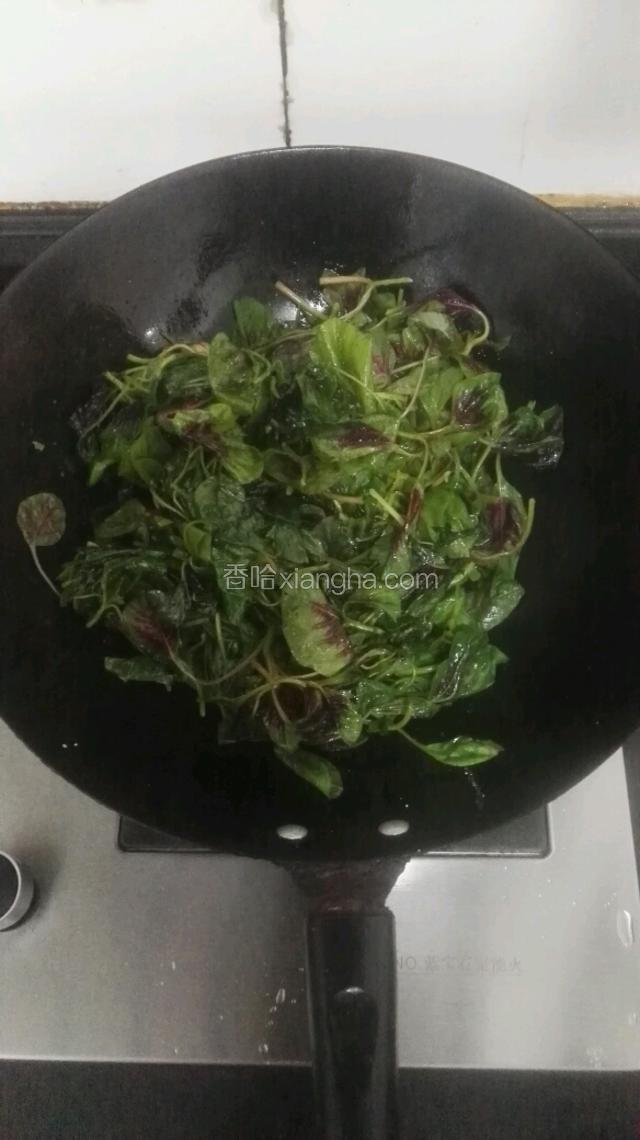 生姜爆香后倒入苋菜翻炒均匀