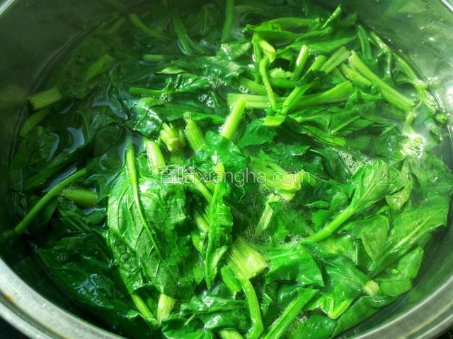 放入开水里焯一分钟  水里滴少许油保持菜的翠绿颜色