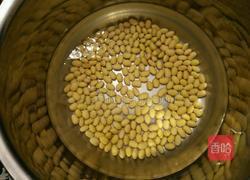 自发黄豆芽的做法图解4