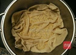 自发黄豆芽的做法图解6