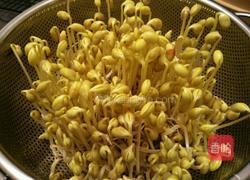 自发黄豆芽的做法图解13
