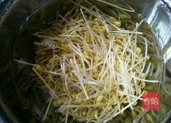 自发黄豆芽的做法图解15