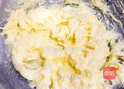 玩色凤梨酥-纯凤梨+蜂蜜版的做法图解9