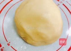 玩色凤梨酥-纯凤梨+蜂蜜版的做法图解15