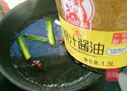 红烧素鸡的做法图解7