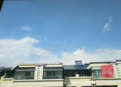 凉面的做法图解1