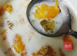 牛奶炖桃胶的做法图解2