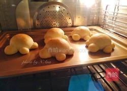 小乌龟面包的做法图解12