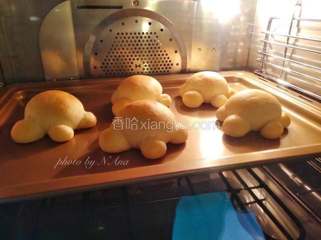 在发酵好的乌龟上喷点水，送入预热好的烤箱中层或中下层，180度烤20分钟。