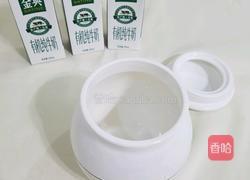 自制特浓酸奶的做法图解1