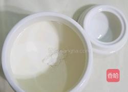 自制特浓酸奶的做法图解3