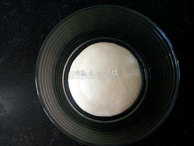 滚圆放容器里盖保鲜膜进行基础发酵。
