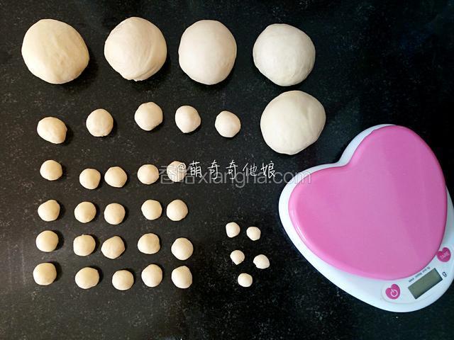折叠轻压排气，并分割成5个60g的面团作乌龟的身体，5个6g的面团作乌龟的头部，20个3g的面团做乌龟的脚，5个1g的面团作乌龟的尾巴。