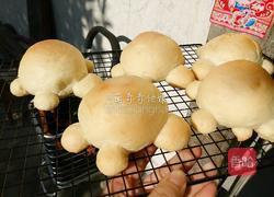 小乌龟面包的做法图解13