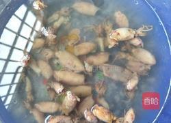 小乌贼干炒青椒的做法图解1