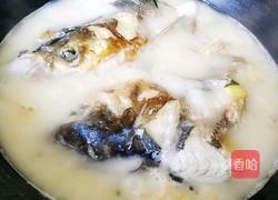 鱼头豆腐汤的做法图解10