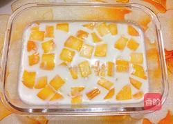 芒果牛奶冻的做法图解6
