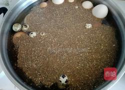 茶叶（鹌鹑鸡）蛋的做法图解2
