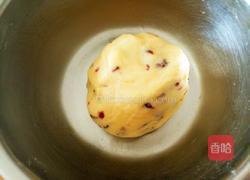 宝宝蔓越莓饼干的做法图解8