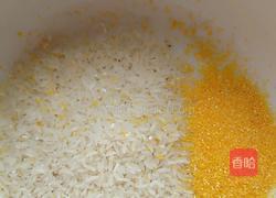 胡萝卜蛋花玉米粥的做法图解1