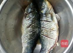 豆瓣鲫鱼的做法图解1