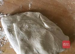 扁豆猪肉馅饼的做法图解5