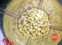 黄豆豆浆的做法图解4