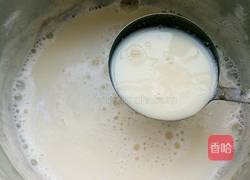 黄豆豆浆的做法图解9