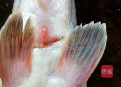 清蒸梭边鱼的做法图解3