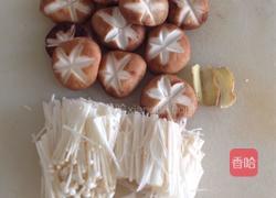 双菇鲫鱼汤的做法图解2