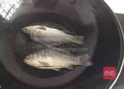 双菇鲫鱼汤的做法图解5