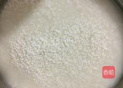 鲜肉粽的做法图解1