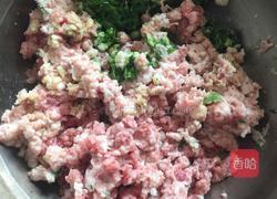 猪肉茴香馅儿饺子的做法图解6
