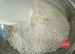 西米冰晶粽的做法图解8