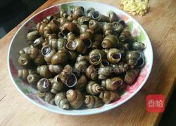 酱闷田螺的做法图解1