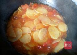 西红柿炖土豆片的做法图解2