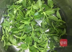 凉拌穿心莲的做法图解1