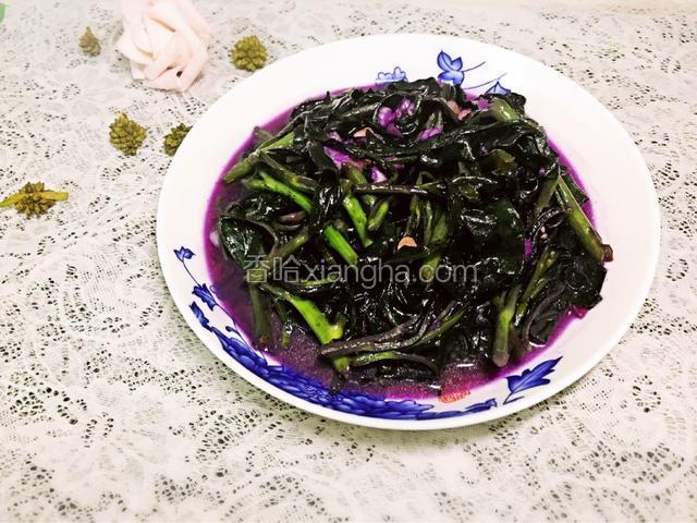 豆酱紫背天葵