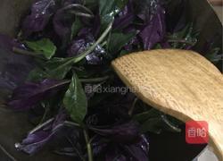 豆酱紫背天葵的做法图解3