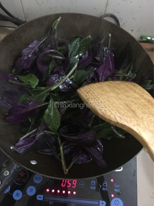 下入紫背天葵