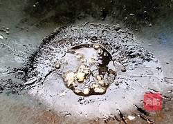 素炒南瓜苗的做法图解4