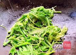 素炒南瓜苗的做法图解5