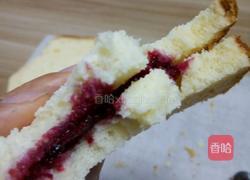 野生树莓酱的做法图解6