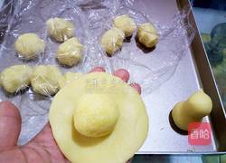 小鸡烧果子的做法图解8