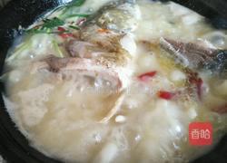 清炖鱼汤的做法图解4