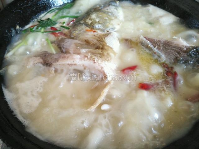 煎至金黄后，延锅边到入开水，鱼汤会变得很白，水莫过鱼，加入花椒粒，八角，姜丝，葱，干红辣椒，料酒，盐。